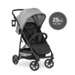 Sporťák Rapid 4R Plus grey, Hauck 